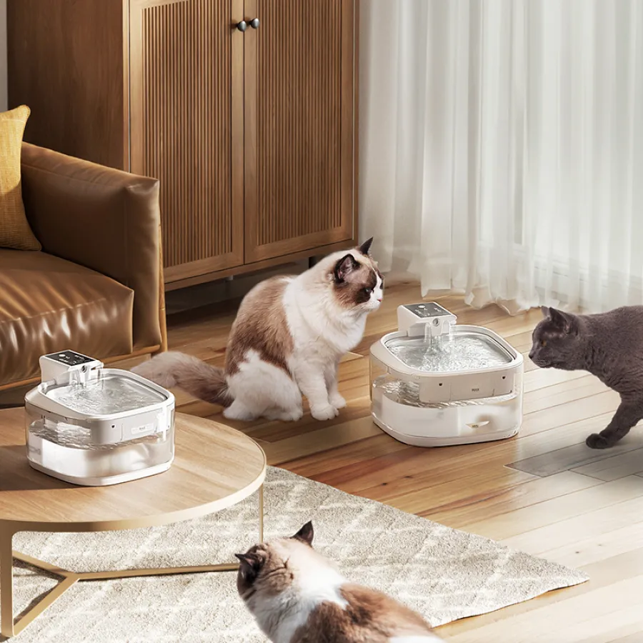 Pet Water Dispenser with Energy Storage Battery